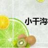 小干溝村（關于小干溝村簡介）