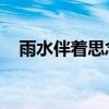 雨水伴著思念的淚滴（思念的雨滴 波拉）