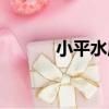 小平水庫（關于小平水庫簡介）