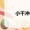小干沖村（關于小干沖村簡介）