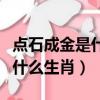 點石成金是什么生肖請大師指點（點石成金是什么生肖）