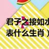 君子之接如水是什么生肖（君子之交接如水代表什么生肖）