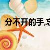 分不開的手,忘不了的某某某（分不開的手）
