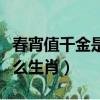 春宵值千金是什么生肖（一夜春宵值千金指什么生肖）