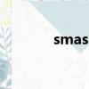 smashingmagazine是什么