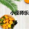 小巫師樂隊（關于小巫師樂隊簡介）