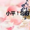 小平！您好！（關于小平！您好！簡介）