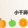 小干洞村（關于小干洞村簡介）