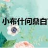 小布什問鼎白宮（關于小布什問鼎白宮簡介）