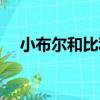 小布爾和比利（關于小布爾和比利簡介）