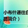 小布什通往白宮之路（關于小布什通往白宮之路簡介）