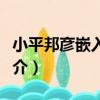 小平邦彥嵌入定理（關于小平邦彥嵌入定理簡介）