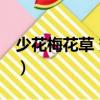 少花梅花草 變型（關于少花梅花草 變型簡介）