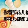 你看那花兒都謝了你看那海兒都哭說說（你看那花兒都謝了）
