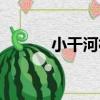 小干河村（關于小干河村簡介）