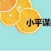 小平謀略（關于小平謀略簡介）
