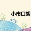 小市口胡同（關于小市口胡同簡介）