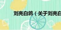 劉亮白鴿(關于劉亮白鴿的簡介)
