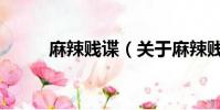 麻辣賤諜(關于麻辣賤諜的簡介)