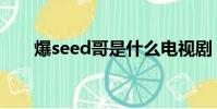 爆seed哥是什么電視劇(爆seed哥)