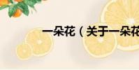 一朵花(關于一朵花的簡介)