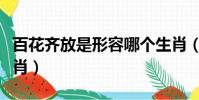 百花齊放是形容哪個生肖(百花齊放是什么生肖)