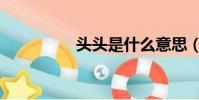 頭頭是什么意思(頭頭)