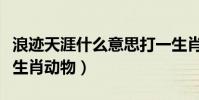 浪跡天涯什么意思打一生肖(浪跡天涯是什么生肖動物)