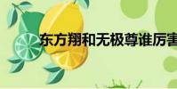 東方翔和無極尊誰厲害(東方翔)