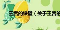 王宮的鐵壁(關于王宮的鐵壁的簡介)