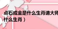 點石成金是什么生肖請大師指點(點石成金是什么生肖)