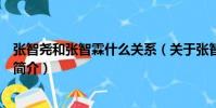 張智堯和張智霖什么關系(關于張智堯和張智霖什么關系的簡介)