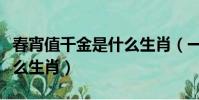 春宵值千金是什么生肖(一夜春宵值千金指什么生肖)