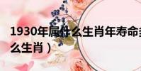 1930年屬什么生肖年壽命多大(1930年屬什么生肖)