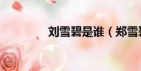 劉雪碧是誰(鄭雪碧妻子)