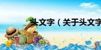 頭文字(關于頭文字的簡介)