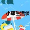 小康生活狀態（關于小康生活狀態簡介）