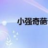 小強奇葩記（關于小強奇葩記簡介）
