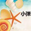 小彈珠（關于小彈珠簡介）