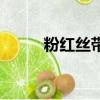 粉紅絲帶（關于粉紅絲帶的簡介）