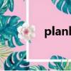 planb（關于planb的簡介）