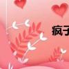 瘋子（關于瘋子的簡介）