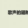 歌聲的翅膀（關于歌聲的翅膀的簡介）