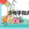 少年手指虎（關于少年手指虎的簡介）