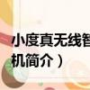 小度真無線智能耳機（關于小度真無線智能耳機簡介）
