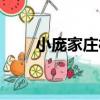 小龐家莊村（關于小龐家莊村簡介）