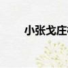小張戈莊村（關于小張戈莊村簡介）