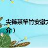 尖籜茶竿竹安徽太平群體（關于尖籜茶竿竹安徽太平群體簡介）