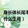 身長體長尾毛長猜生肖（身長體長尾毛長是指什么生肖）