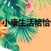 小康生活恰恰恰（關于小康生活恰恰恰簡介）
